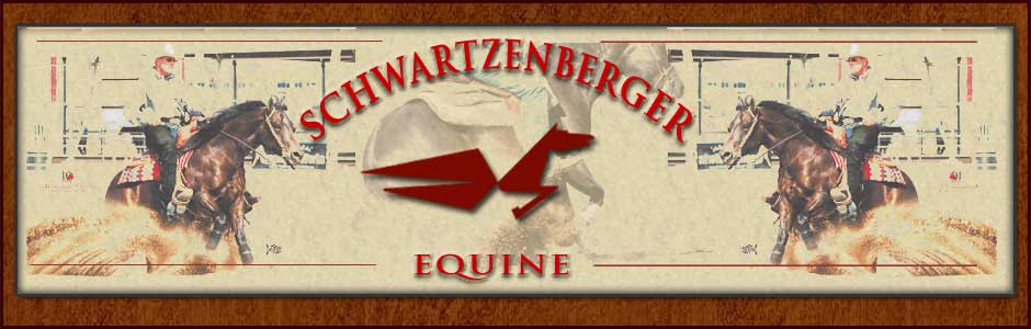 Schwartzenberger Equine